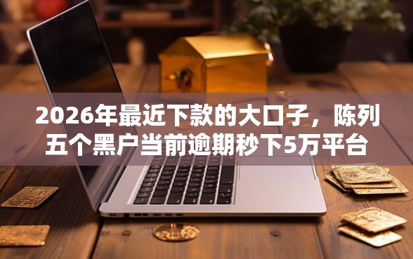 2026年最近下款的大口子，陈列五个黑户当前逾期秒下5万平台
