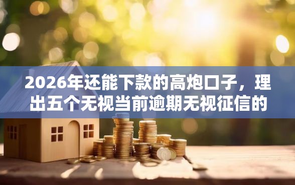 2026年还能下款的高炮口子，理出五个无视当前逾期无视征信的借款口子