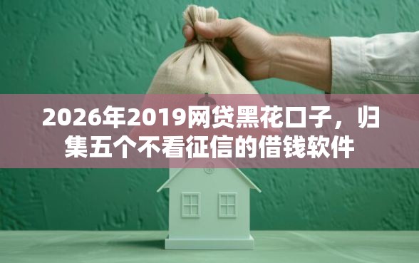 2026年2019网贷黑花口子，归集五个不看征信的借钱软件