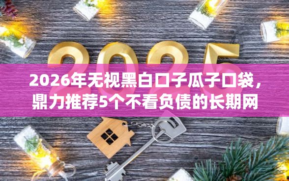 2026年无视黑白口子瓜子口袋，鼎力推荐5个不看负债的长期网贷app