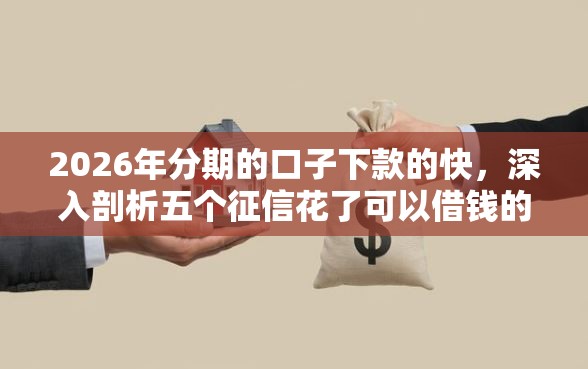 2026年分期的口子下款的快，深入剖析五个征信花了可以借钱的网贷平台