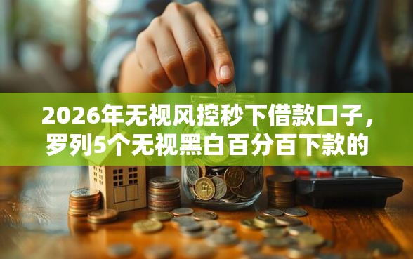 2026年无视风控秒下借款口子，罗列5个无视黑白百分百下款的借款软件