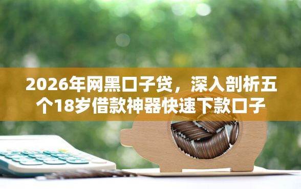 2026年网黑口子贷，深入剖析五个18岁借款神器快速下款口子