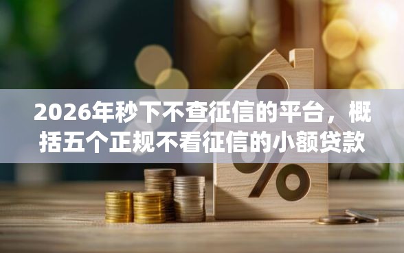 2026年秒下不查征信的平台，概括五个正规不看征信的小额贷款app