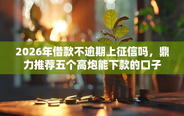 2026年借款不逾期上征信吗，鼎力推荐五个高炮能下款的口子