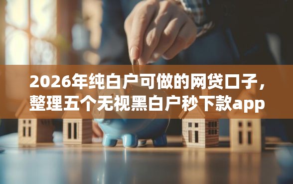 2026年纯白户可做的网贷口子，整理五个无视黑白户秒下款app