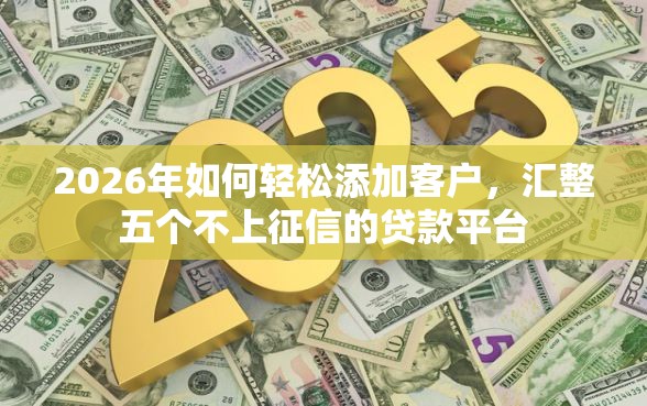 2026年如何轻松添加客户，汇整五个不上征信的贷款平台