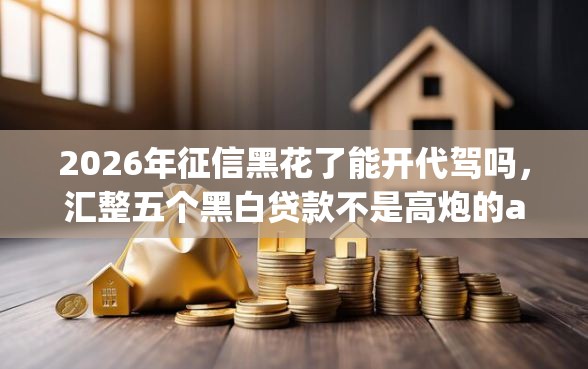 2026年征信黑花了能开代驾吗，汇整五个黑白贷款不是高炮的app