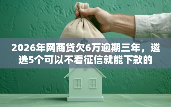 2026年网商贷欠6万逾期三年，遴选5个可以不看征信就能下款的平台