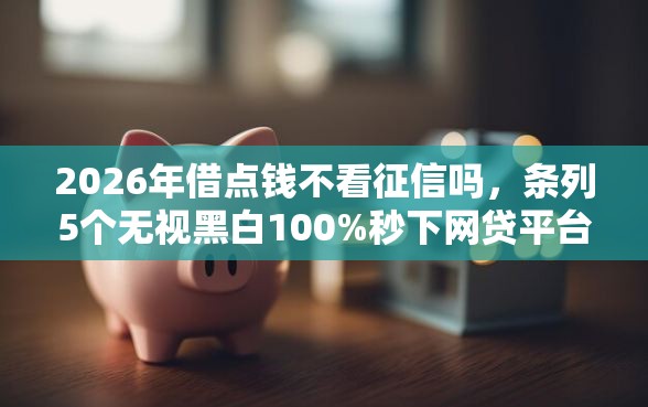 2026年借点钱不看征信吗，条列5个无视黑白100%秒下网贷平台