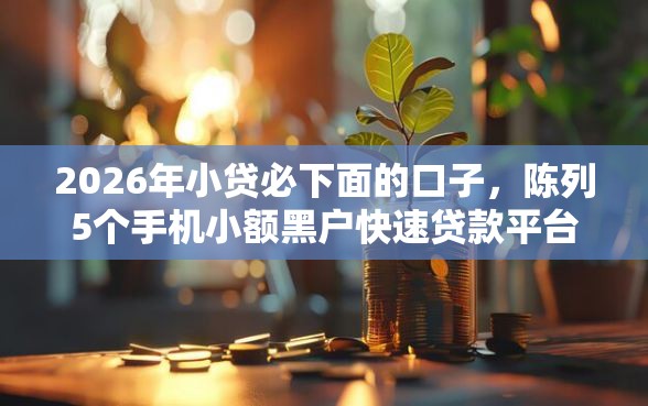 2026年小贷必下面的口子，陈列5个手机小额黑户快速贷款平台