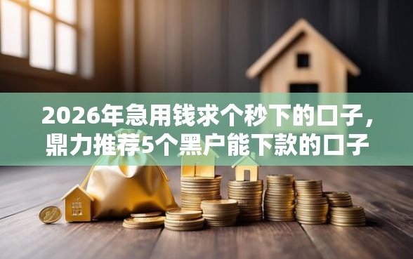 2026年急用钱求个秒下的口子，鼎力推荐5个黑户能下款的口子