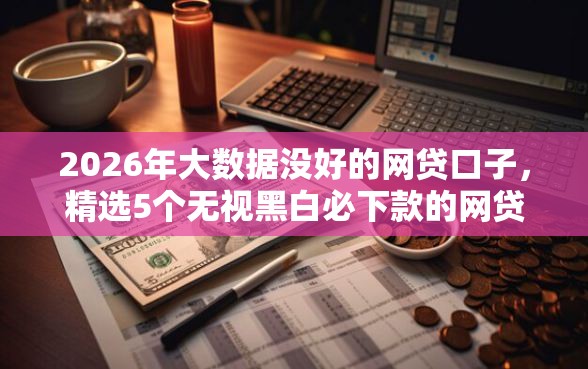 2026年大数据没好的网贷口子，精选5个无视黑白必下款的网贷软件