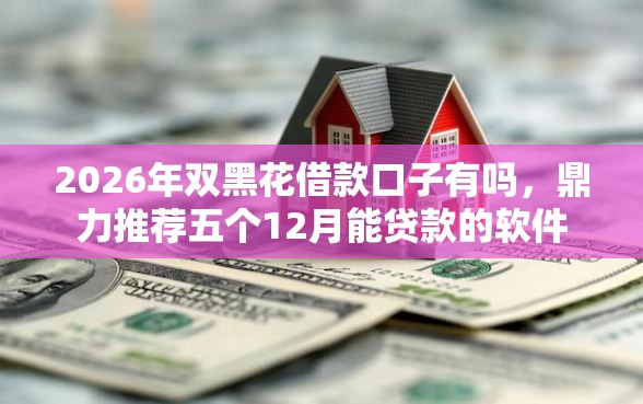 2026年双黑花借款口子有吗，鼎力推荐五个12月能贷款的软件