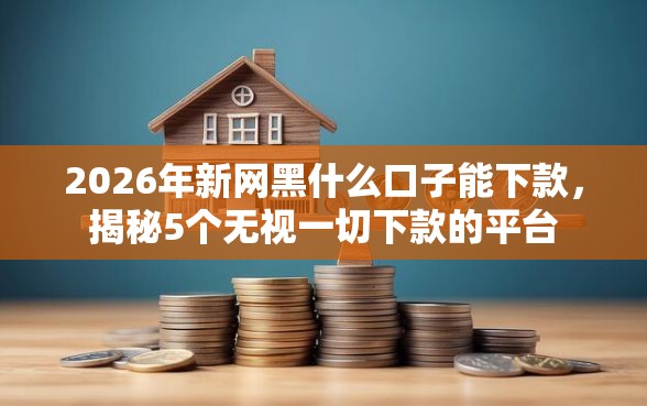2026年新网黑什么口子能下款，揭秘5个无视一切下款的平台