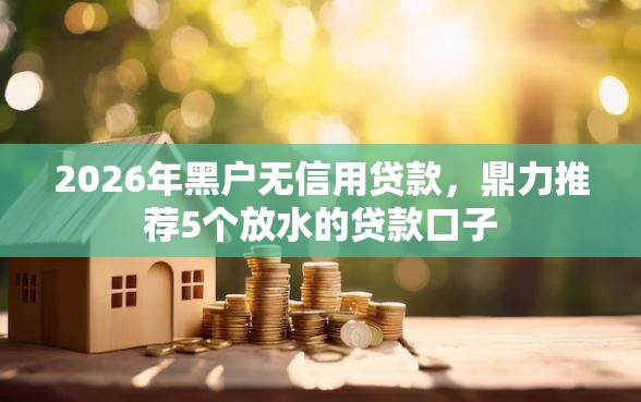 2026年黑户无信用贷款，鼎力推荐5个放水的贷款口子