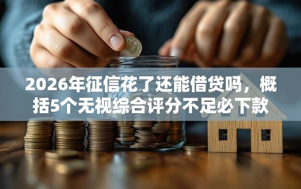 2026年征信花了还能借贷吗，概括5个无视综合评分不足必下款口子