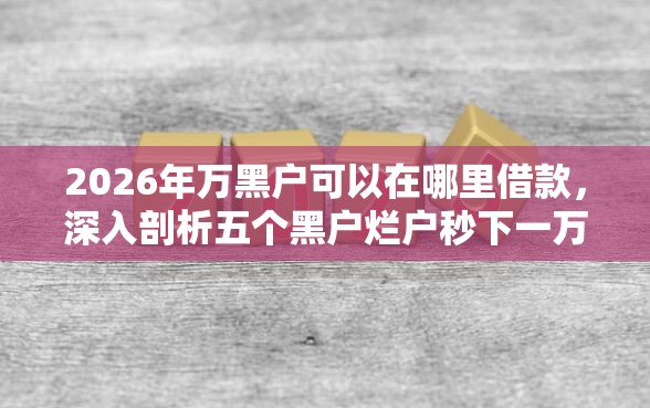 2026年万黑户可以在哪里借款，深入剖析五个黑户烂户秒下一万
