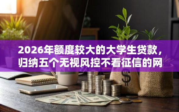 2026年额度较大的大学生贷款，归纳五个无视风控不看征信的网贷