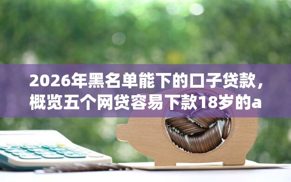 2026年黑名单能下的口子贷款，概览五个网贷容易下款18岁的app