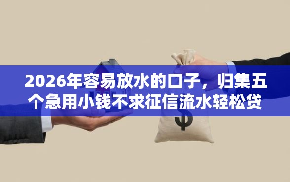 2026年容易放水的口子，归集五个急用小钱不求征信流水轻松贷的软件
