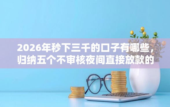 2026年秒下三千的口子有哪些，归纳五个不审核夜间直接放款的网贷口子