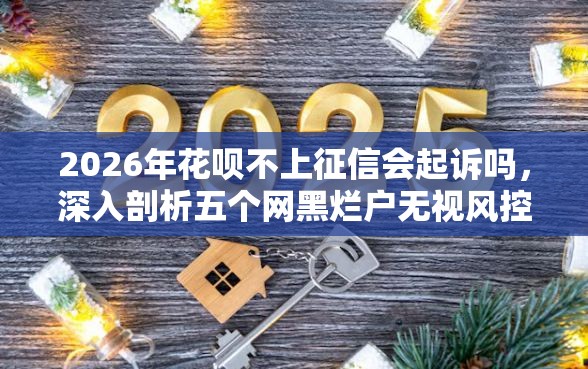 2026年花呗不上征信会起诉吗，深入剖析五个网黑烂户无视风控口子