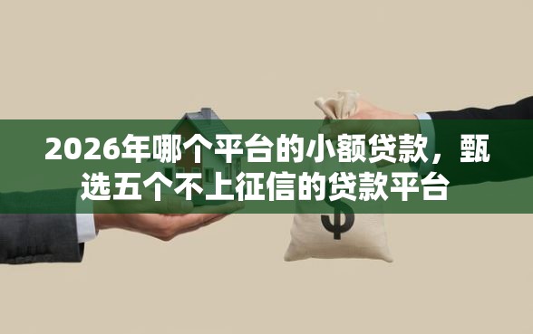 2026年哪个平台的小额贷款，甄选五个不上征信的贷款平台