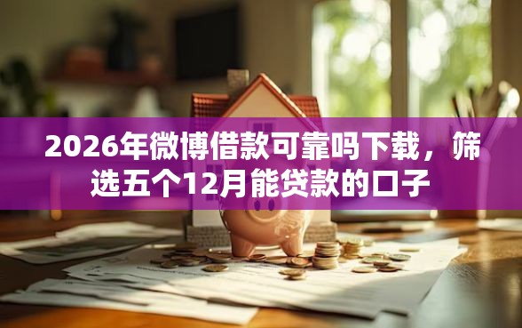 2026年微博借款可靠吗下载，筛选五个12月能贷款的口子
