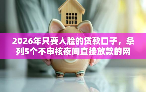 2026年只要人脸的贷款口子，条列5个不审核夜间直接放款的网贷口子