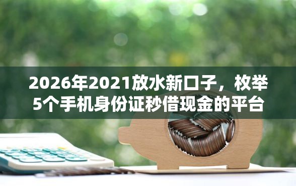 2026年2021放水新口子，枚举5个手机身份证秒借现金的平台