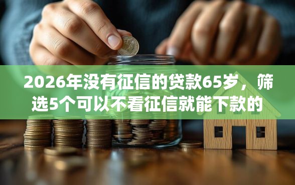 2026年没有征信的贷款65岁，筛选5个可以不看征信就能下款的app