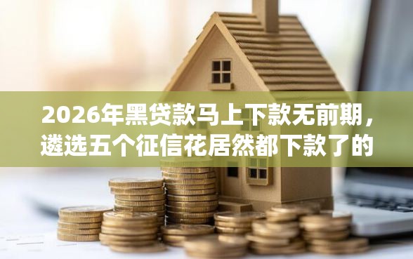 2026年黑贷款马上下款无前期，遴选五个征信花居然都下款了的app