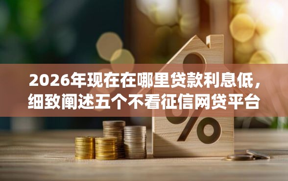 2026年现在在哪里贷款利息低，细致阐述五个不看征信网贷平台放款快的app