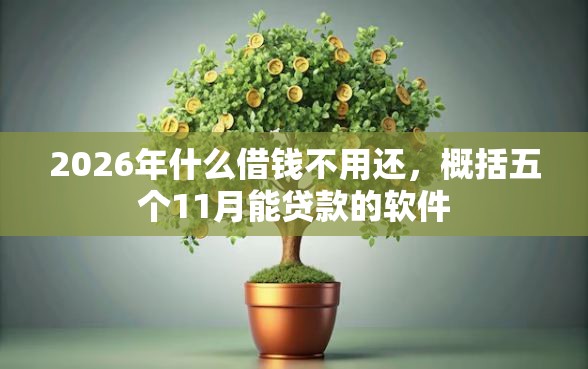 2026年什么借钱不用还，概括五个11月能贷款的软件