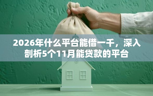2026年什么平台能借一千，深入剖析5个11月能贷款的平台