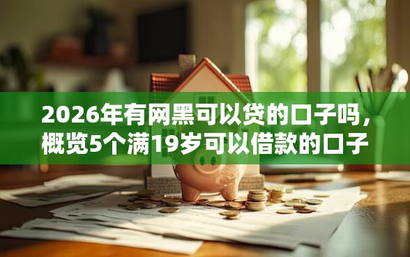 2026年有网黑可以贷的口子吗，概览5个满19岁可以借款的口子