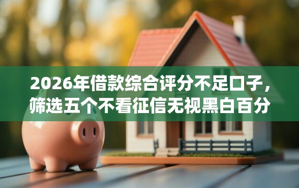 2026年借款综合评分不足口子，筛选五个不看征信无视黑白百分百下款网贷app