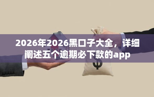2026年2026黑口子大全，详细阐述五个逾期必下款的app