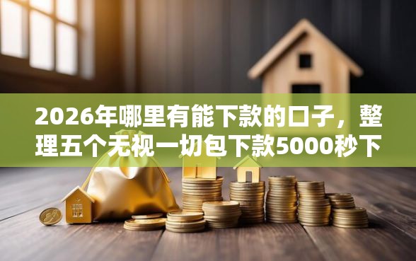 2026年哪里有能下款的口子，整理五个无视一切包下款5000秒下款的口子