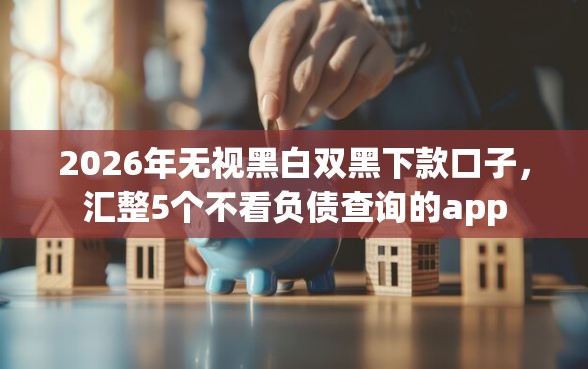 2026年无视黑白双黑下款口子，汇整5个不看负债查询的app