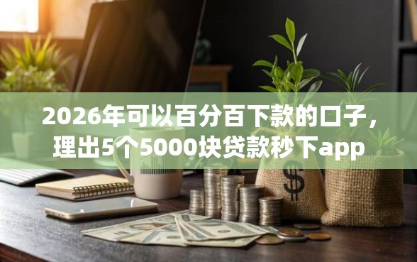2026年可以百分百下款的口子，理出5个5000块贷款秒下app