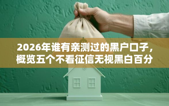 2026年谁有亲测过的黑户口子，概览五个不看征信无视黑白百分百下款网贷口子