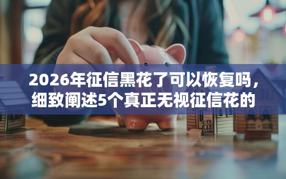 2026年征信黑花了可以恢复吗，细致阐述5个真正无视征信花的平台