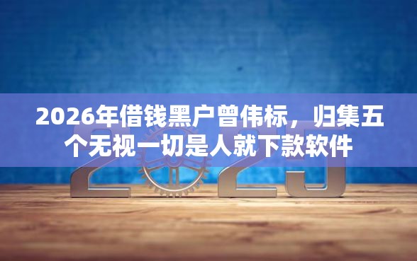 2026年借钱黑户曾伟标，归集五个无视一切是人就下款软件