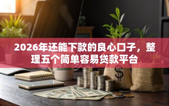 2026年还能下款的良心口子，整理五个简单容易贷款平台