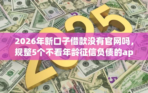 2026年新口子借款没有官网吗，规整5个不看年龄征信负债的app