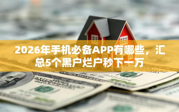 2026年手机必备APP有哪些，汇总5个黑户烂户秒下一万