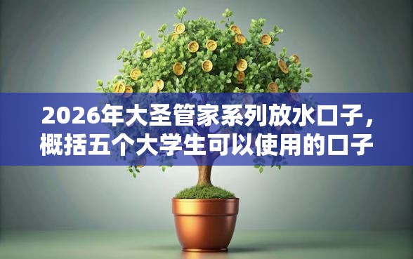 2026年大圣管家系列放水口子，概括五个大学生可以使用的口子