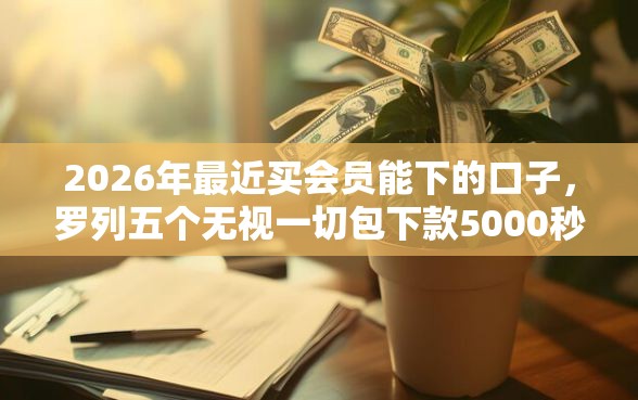 2026年最近买会员能下的口子，罗列五个无视一切包下款5000秒下款的口子